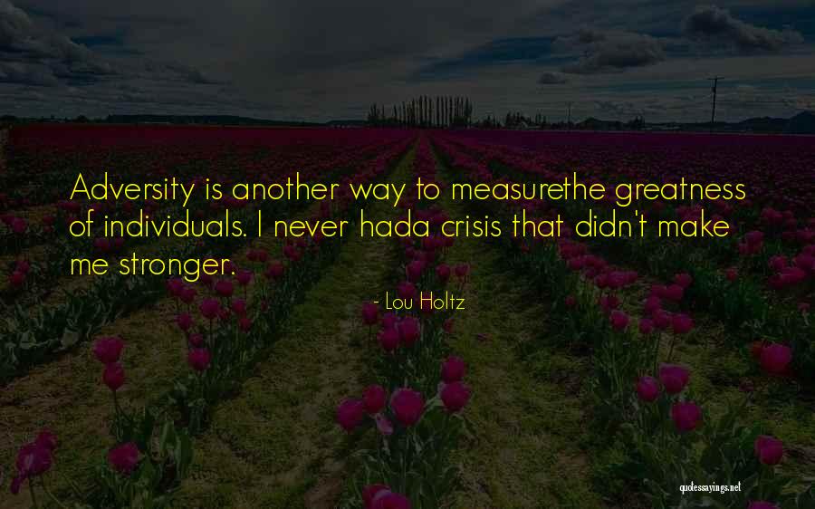 Measure Of Greatness Quotes By Lou Holtz