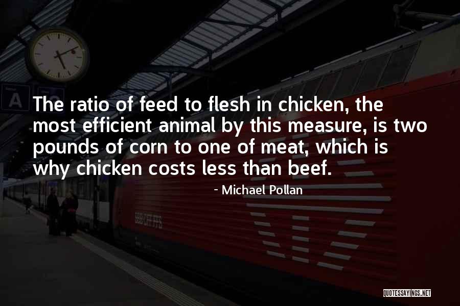 Measure Of Quotes By Michael Pollan Measure Of Quotes By Michael Pollan