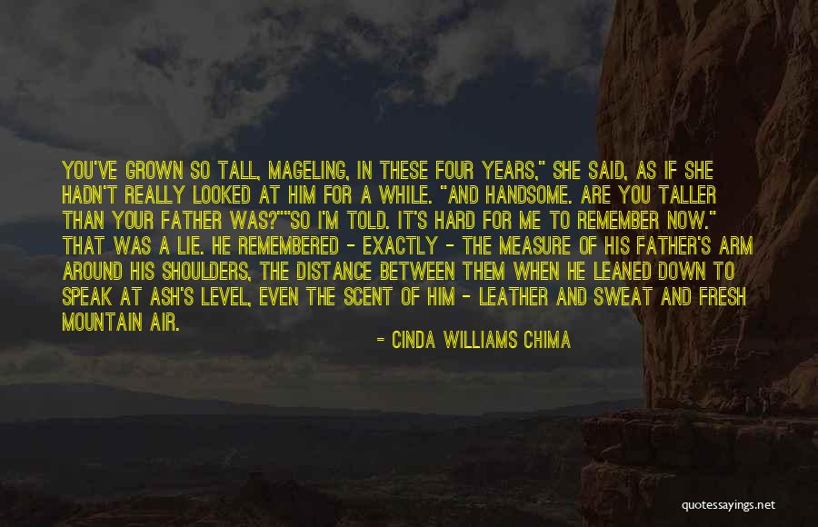 Measure The Distance Quotes By Cinda Williams Chima Measure The Distance Quotes By Cinda Williams Chima