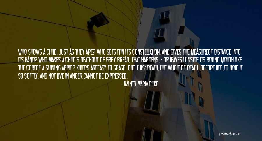 Measure The Distance Quotes By Rainer Maria Rilke Measure The Distance Quotes By Rainer Maria Rilke