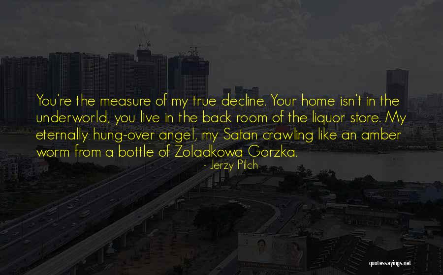 Measure The Room Quotes By Jerzy Pilch Measure The Room Quotes By Jerzy Pilch