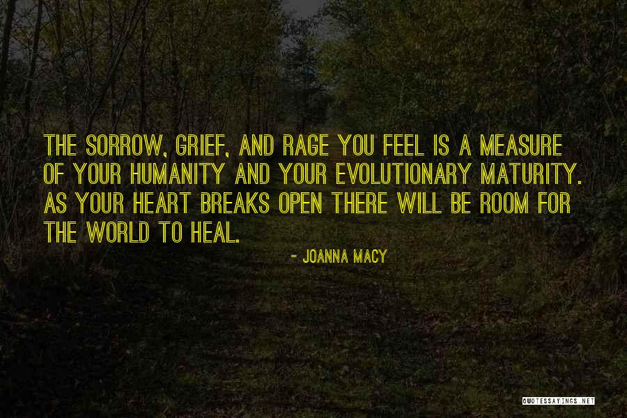Measure The Room Quotes By Joanna Macy Measure The Room Quotes By Joanna Macy