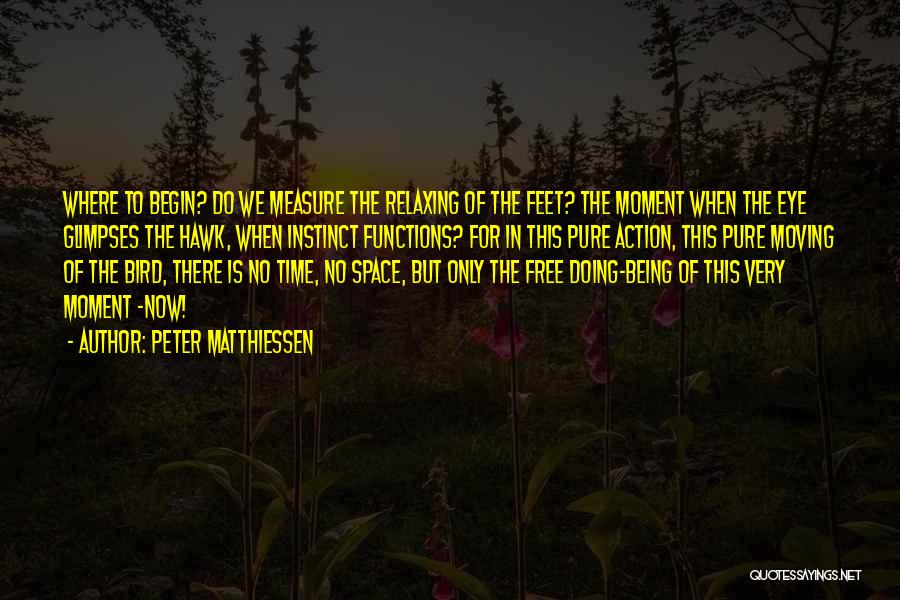 Measure Time Quotes By Peter Matthiessen