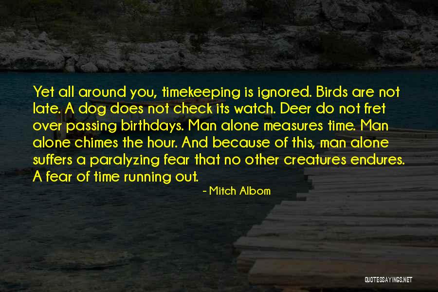 Measures Quotes By Mitch Albom Measures Quotes By Mitch Albom