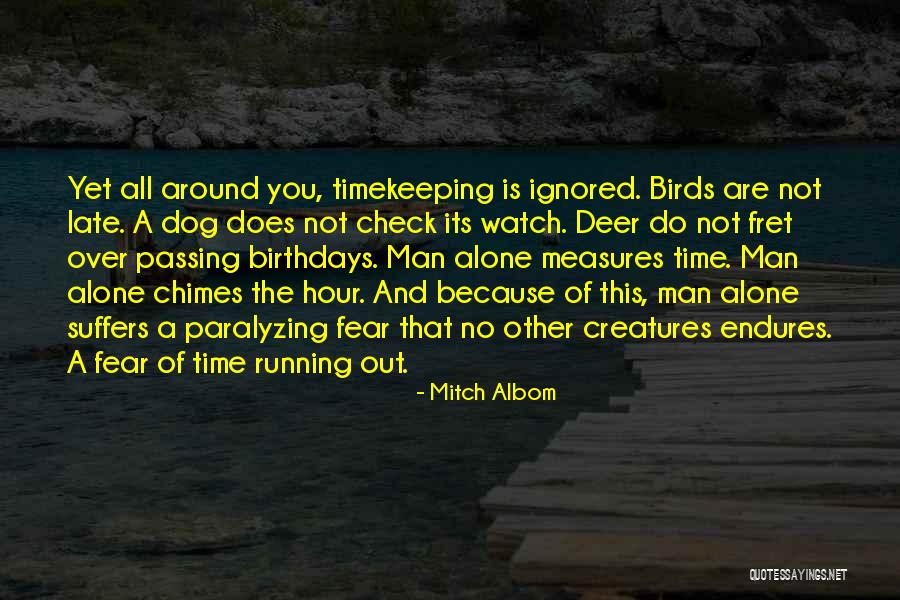 Measures Quotes By Mitch Albom