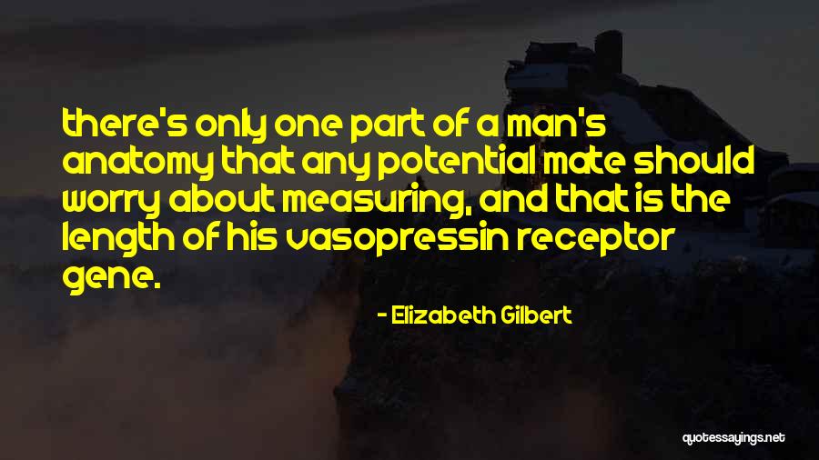 Measuring A Man Quotes By Elizabeth Gilbert Measuring A Man Quotes By Elizabeth Gilbert