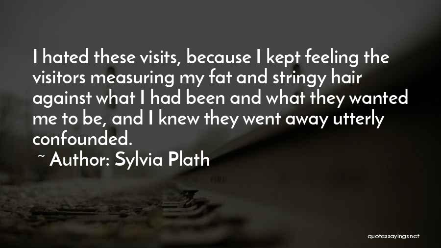 Measuring Change Quotes By Sylvia Plath