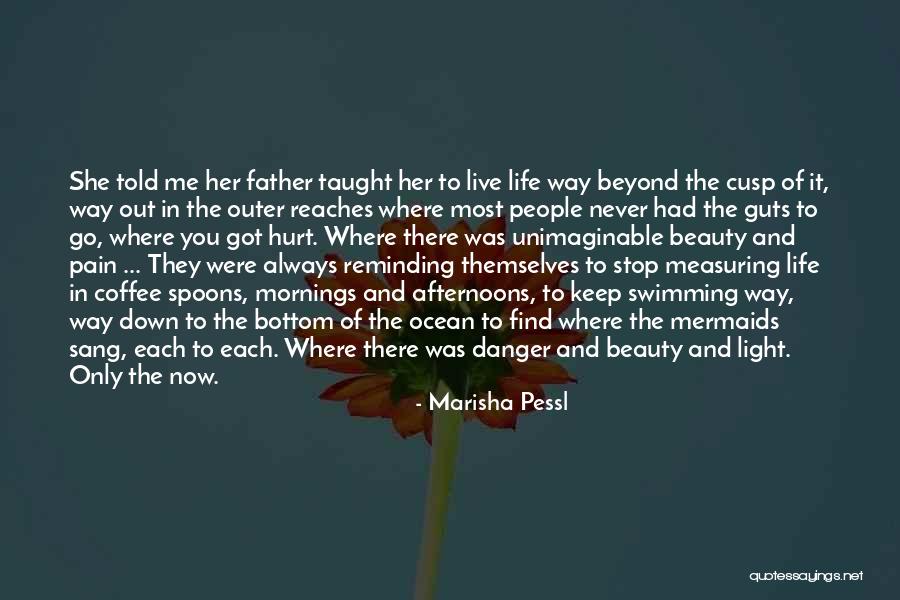 Measuring Spoons Quotes By Marisha Pessl Measuring Spoons Quotes By Marisha Pessl