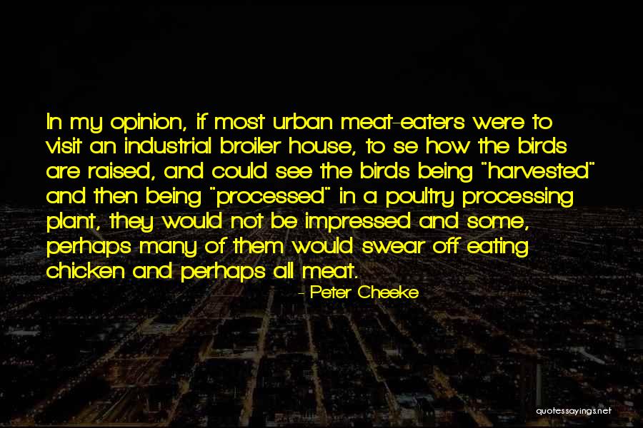 Meat Eaters Quotes By Peter Cheeke Meat Eaters Quotes By Peter Cheeke