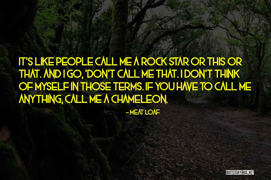 Meat Loaf Quotes 1312267 Meat Loaf Quotes 1312267