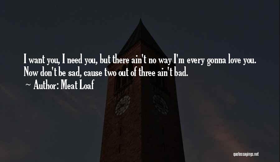 Meat Loaf Quotes 1416412