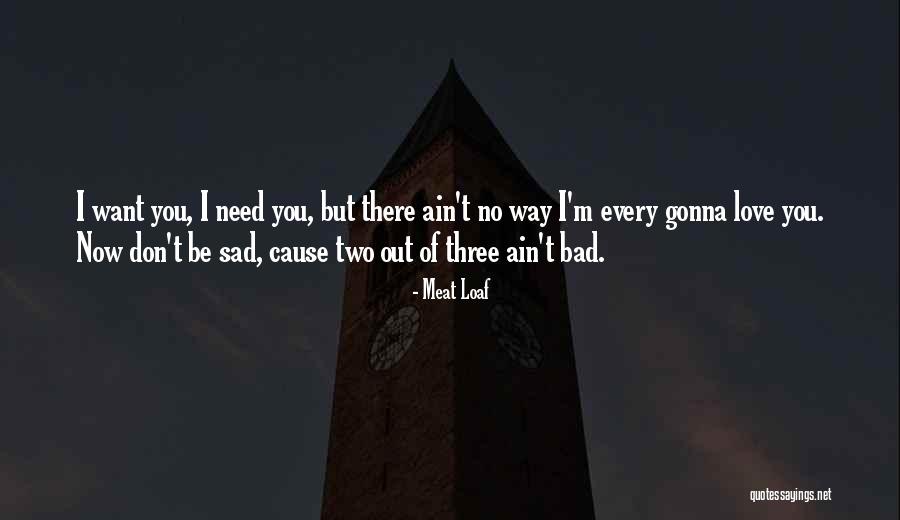 Meat Loaf Quotes 1416412 Meat Loaf Quotes 1416412