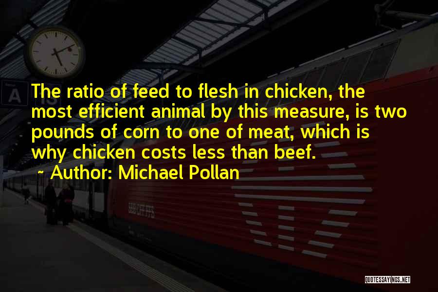 Meat Quotes By Michael Pollan