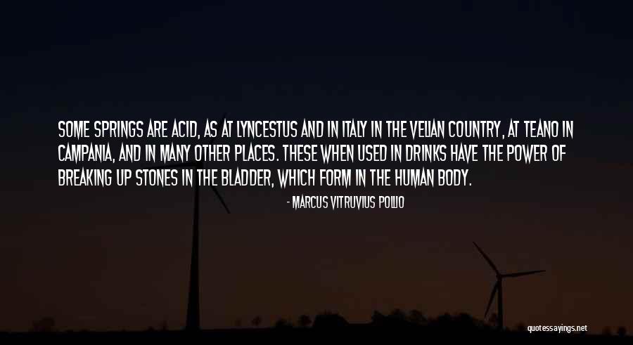 Meats Low In Potassium Quotes By Marcus Vitruvius Pollio Meats Low In Potassium Quotes By Marcus Vitruvius Pollio