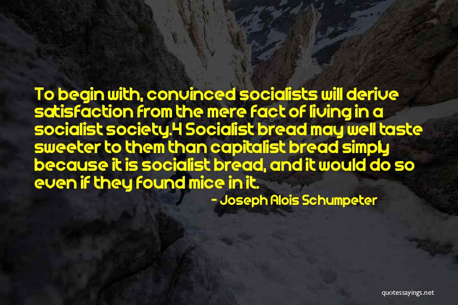 Mebal Drug Quotes By Joseph Alois Schumpeter Mebal Drug Quotes By Joseph Alois Schumpeter