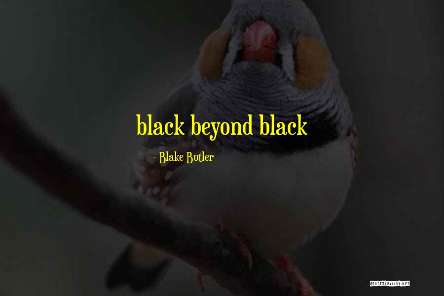 Mecanicul Film Quotes By Blake Butler