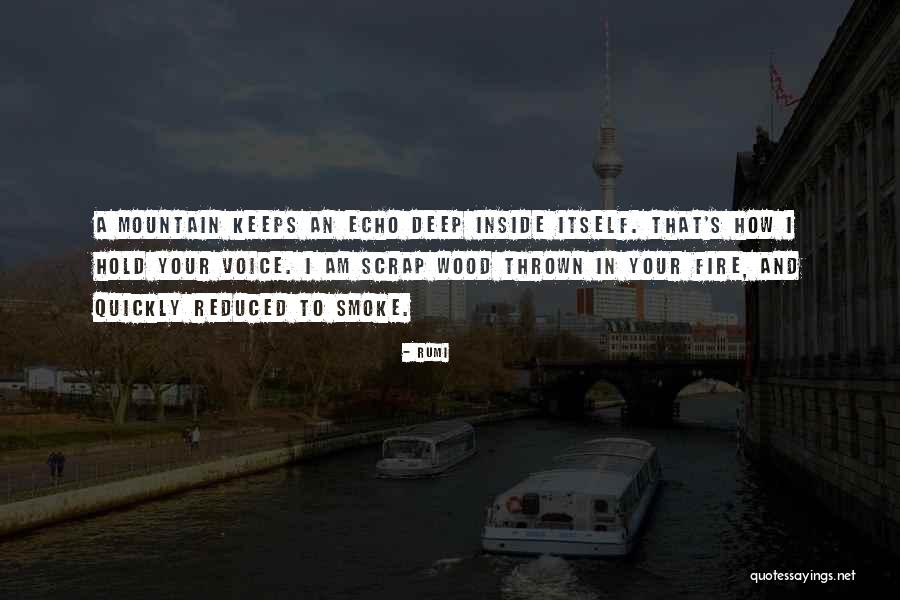 Mechanique Quotes By Rumi Mechanique Quotes By Rumi