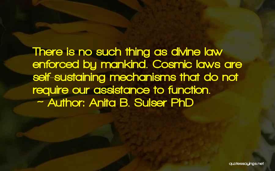 Mechanisms Quotes By Anita B. Sulser PhD