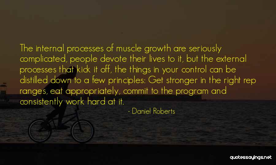 Mechanistic Model Quotes By Daniel Roberts Mechanistic Model Quotes By Daniel Roberts