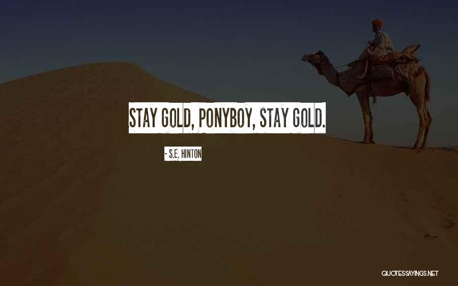 Mechler Resort Quotes By S.E. Hinton Mechler Resort Quotes By S.E. Hinton