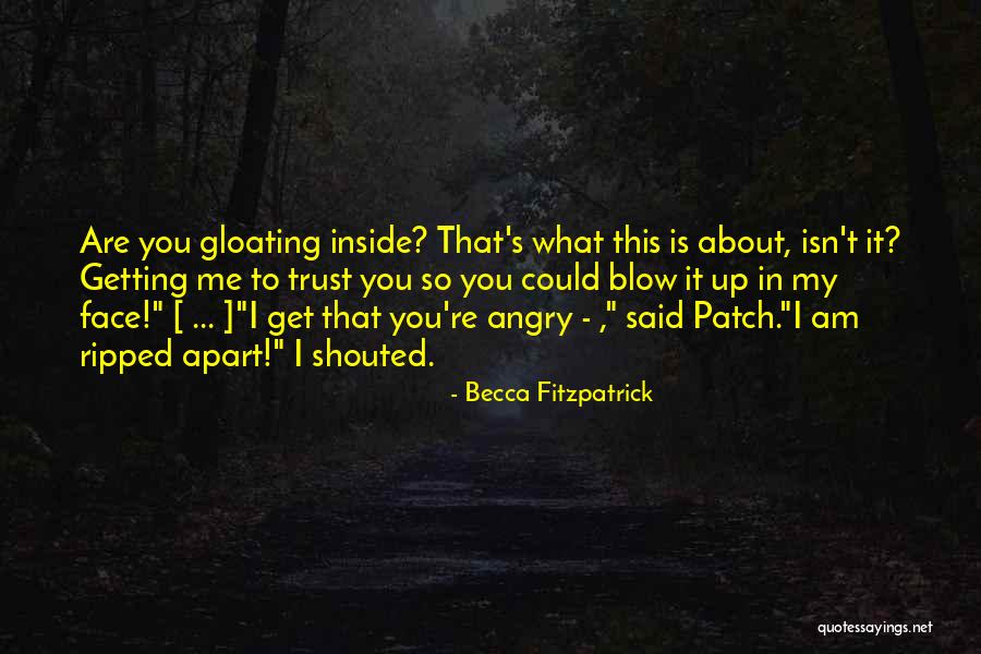 Mecklin Two Quotes By Becca Fitzpatrick Mecklin Two Quotes By Becca Fitzpatrick