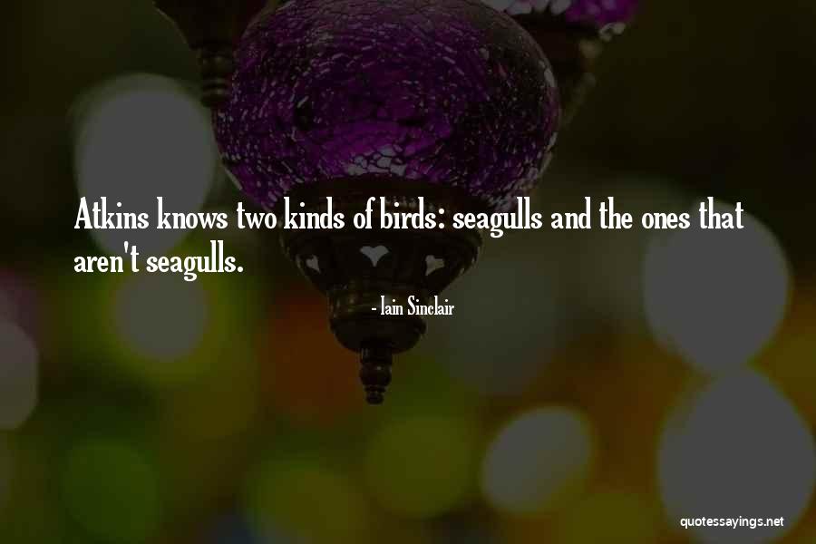 Mecklin Two Quotes By Iain Sinclair Mecklin Two Quotes By Iain Sinclair