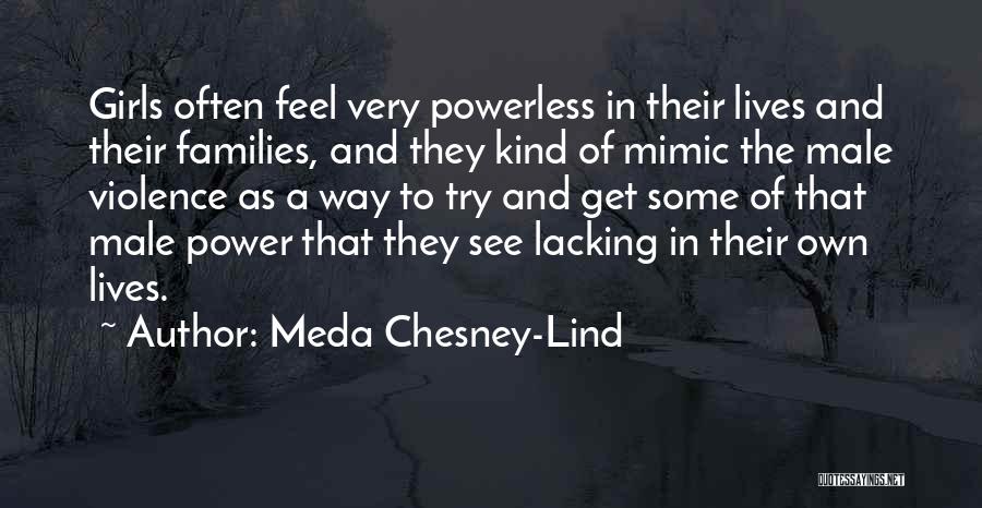 Meda Chesney-Lind Quotes 1712006