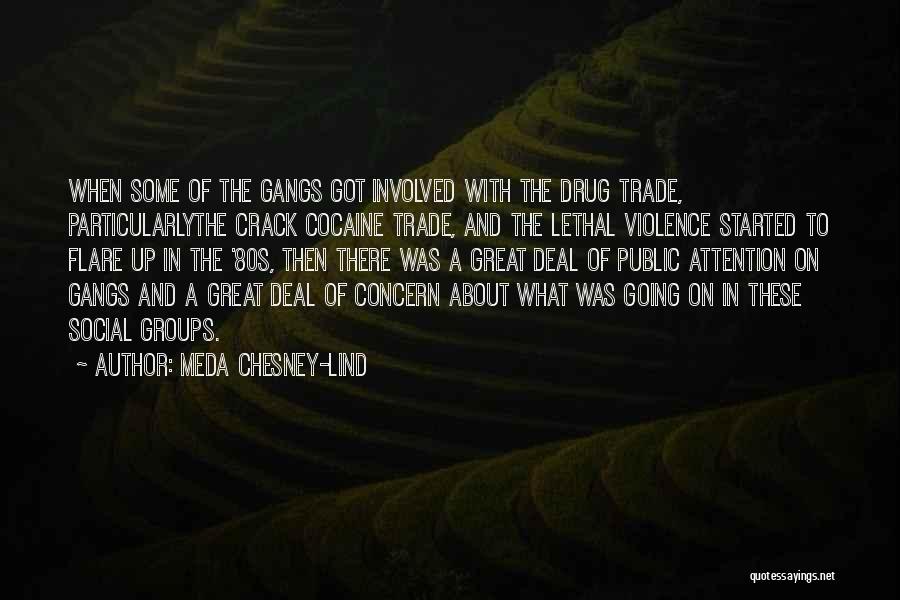Meda Chesney-Lind Quotes 485778