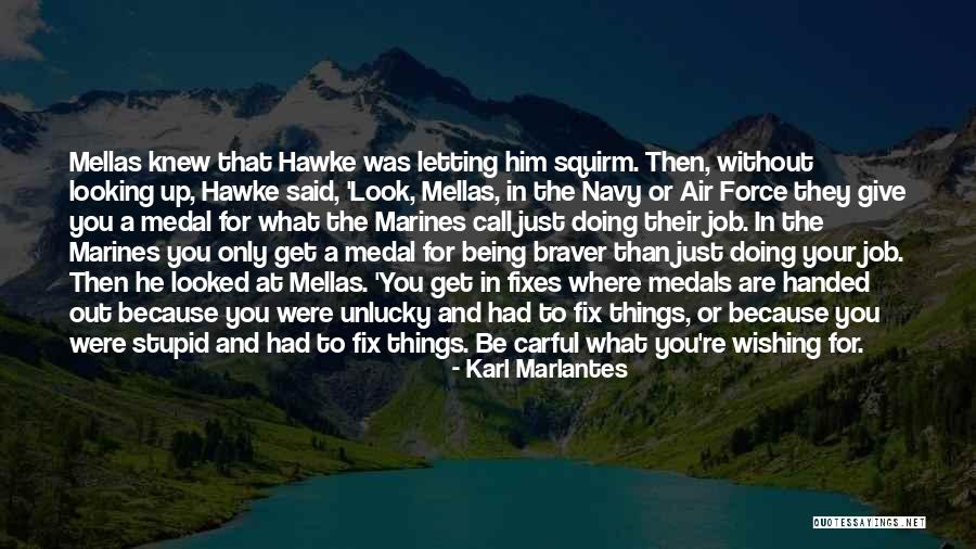 Medal Honor Quotes By Karl Marlantes