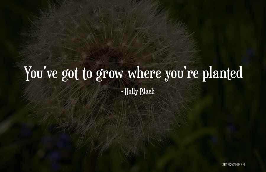 Medalje Slike Quotes By Holly Black Medalje Slike Quotes By Holly Black