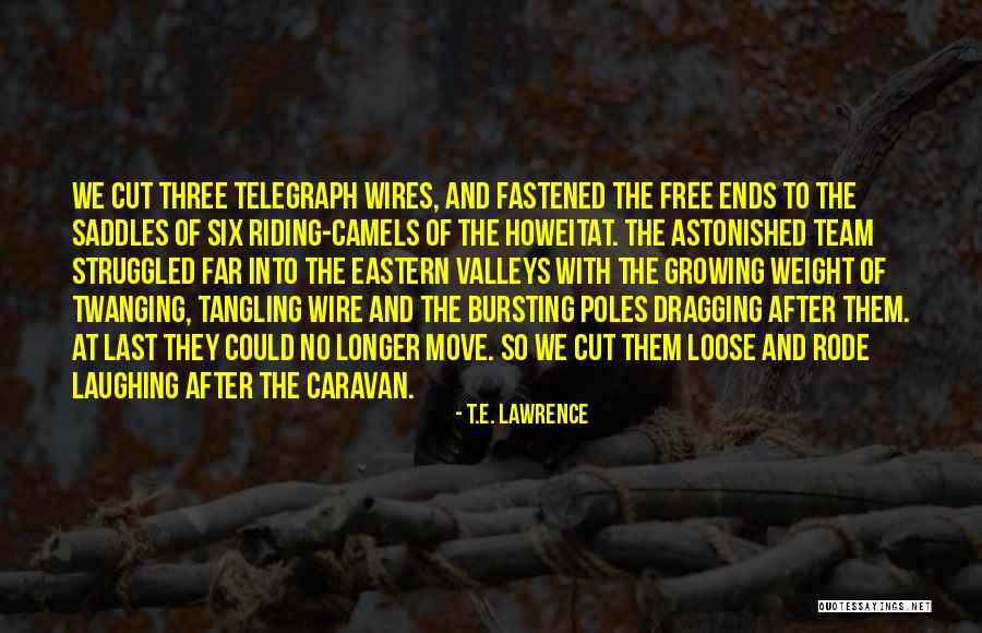 Medaris Ent Quotes By T.E. Lawrence Medaris Ent Quotes By T.E. Lawrence