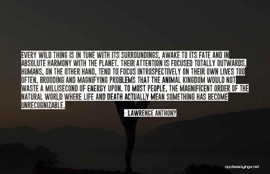 Meddah Oyunu Quotes By Lawrence Anthony Meddah Oyunu Quotes By Lawrence Anthony