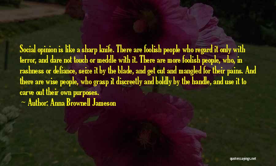 Meddle Quotes By Anna Brownell Jameson