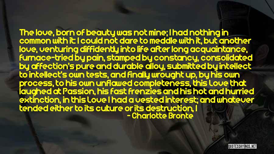 Meddle Quotes By Charlotte Bronte