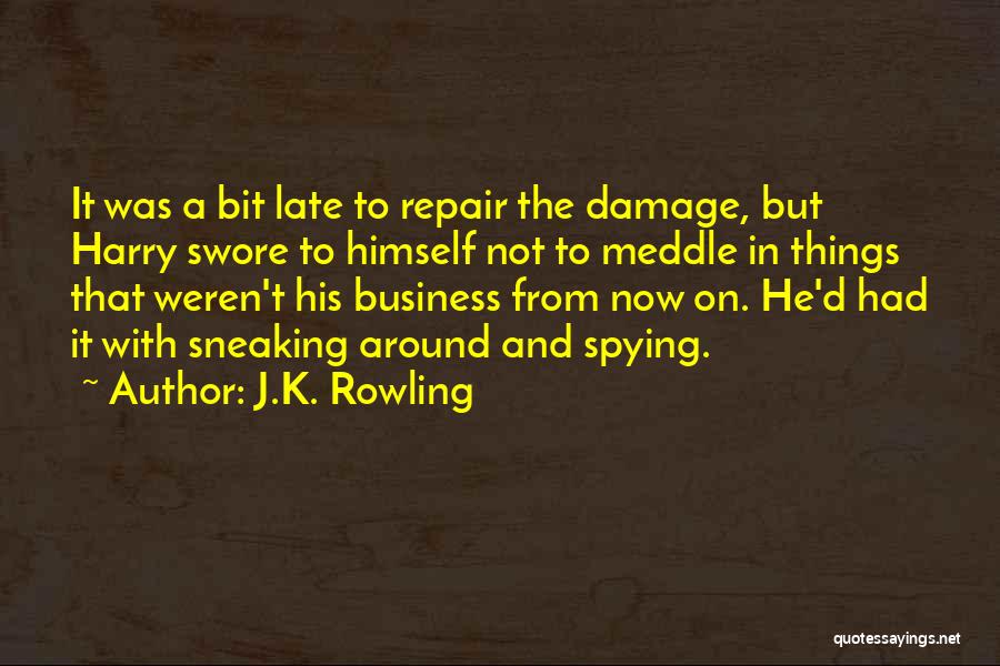 Meddle Quotes By J.K. Rowling