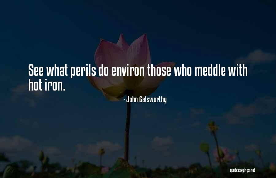 Meddle Quotes By John Galsworthy Meddle Quotes By John Galsworthy
