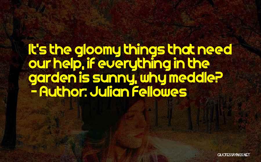 Meddle Quotes By Julian Fellowes