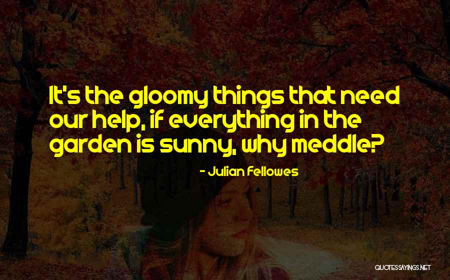 Meddle Quotes By Julian Fellowes