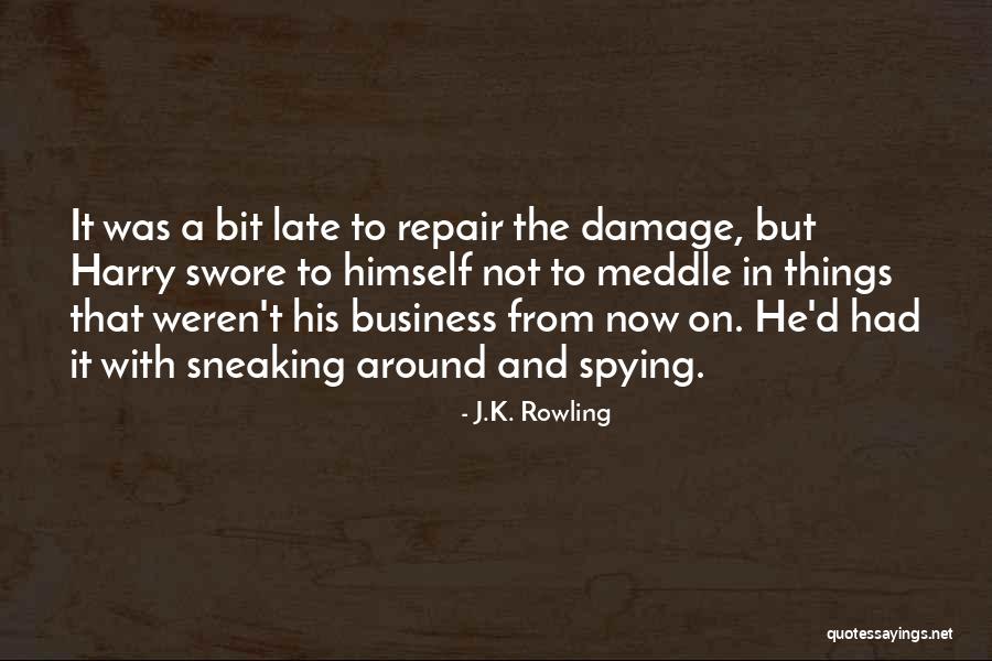 Meddling In Others Business Quotes By J.K. Rowling Meddling In Others Business Quotes By J.K. Rowling