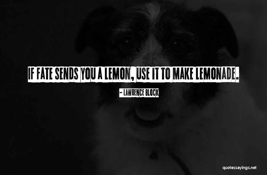 Medeklinker Quotes By Lawrence Block