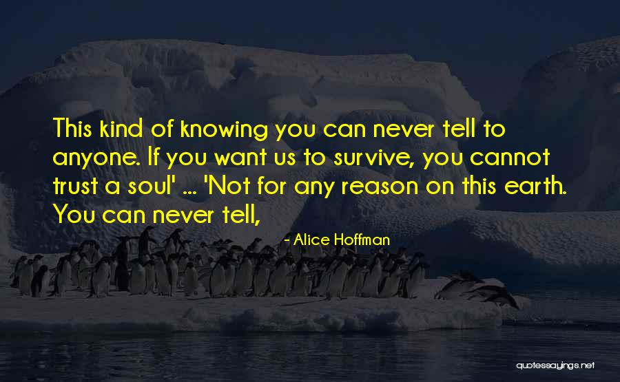 Medence Quotes By Alice Hoffman Medence Quotes By Alice Hoffman