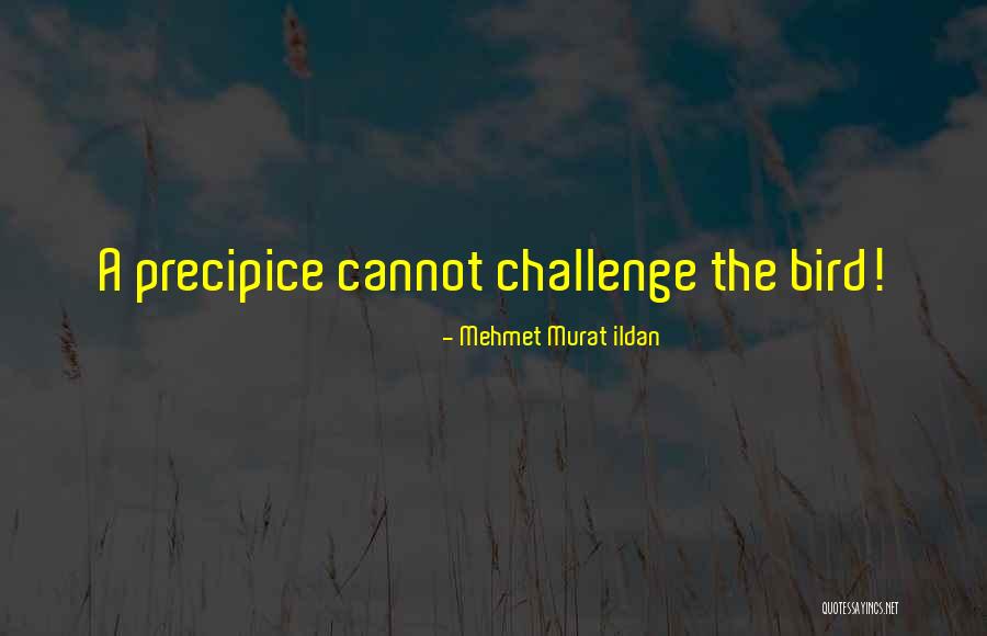 Medetkos Quotes By Mehmet Murat Ildan Medetkos Quotes By Mehmet Murat Ildan