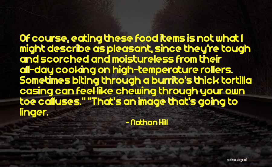 Medhi Monisha Quotes By Nathan Hill Medhi Monisha Quotes By Nathan Hill