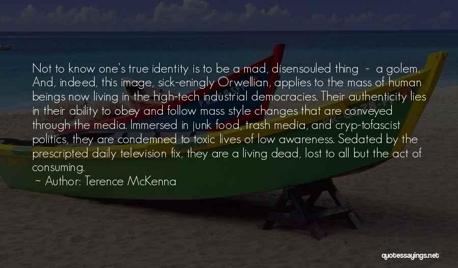 Media And Identity Quotes By Terence McKenna