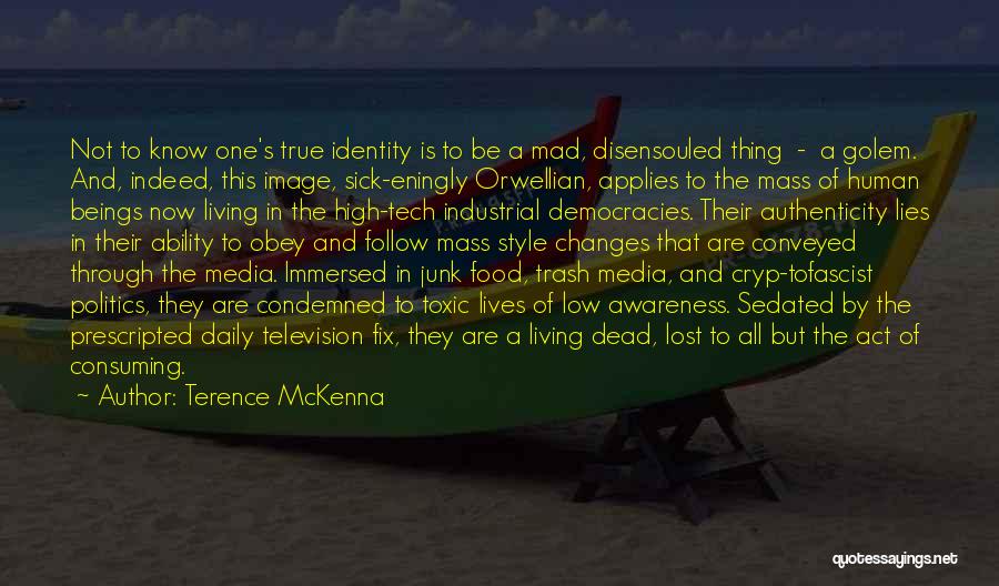 Media And Self Image Quotes By Terence McKenna