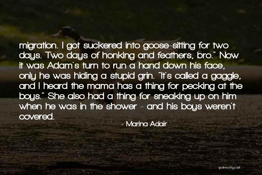 Media First Class Quotes By Marina Adair Media First Class Quotes By Marina Adair
