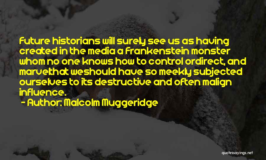 Media Influence Quotes By Malcolm Muggeridge
