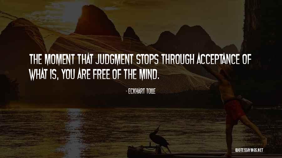 Mediaite Bias Quotes By Eckhart Tolle Mediaite Bias Quotes By Eckhart Tolle