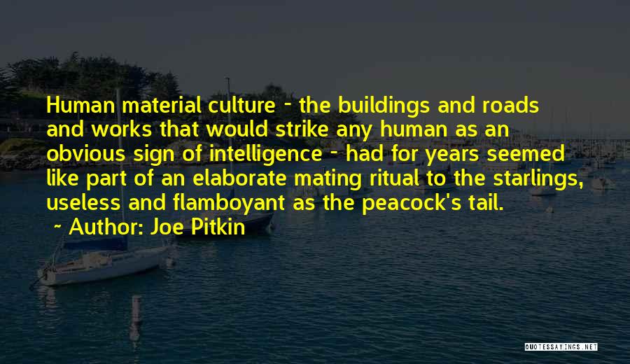 Medianas Triangulo Quotes By Joe Pitkin