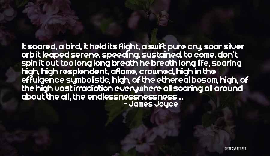 Mediascape Examples Quotes By James Joyce Mediascape Examples Quotes By James Joyce